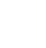 Lightbulb Icon